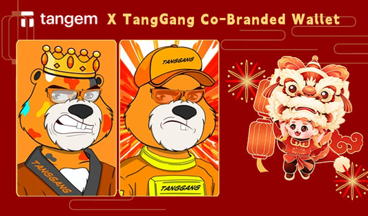 Tangem X TangGang  Co-Branded Wallet